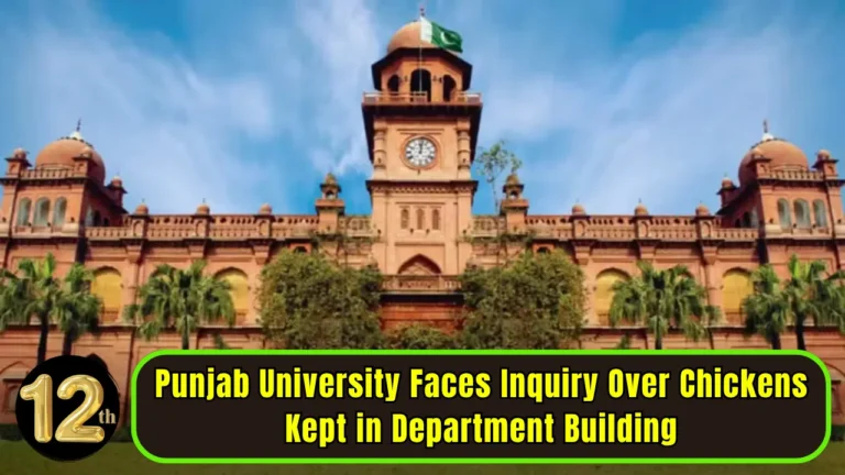 Punjab University Faces Inquiry Over Chickens Kept in Department Building
